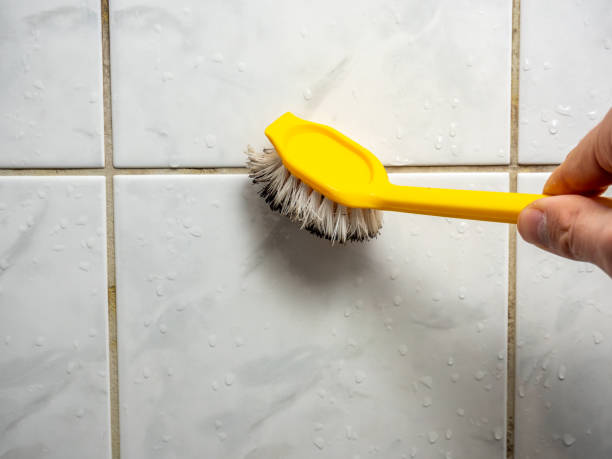 Best Post-Flood Mold Remediation in Mcgregor, FL